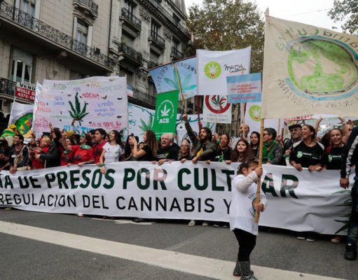 Histórico: impulsarán una ley de consumo recreativo del cannabis