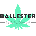 ballester infocannabismagazine