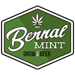 bernalmint infocannabismagazine