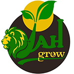 jah grow infocannabismagazine