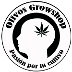 olivos infocannabismagazine