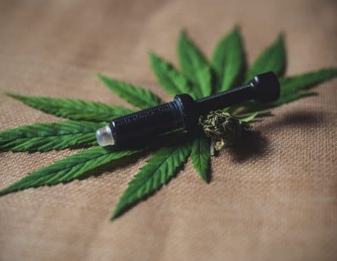 cbd