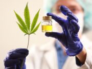 Proyecto de ley nuevo para el cannabis