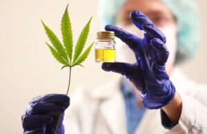 Proyecto de ley nuevo para el cannabis