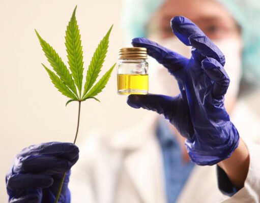 Proyecto de ley nuevo para el cannabis