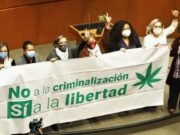 Senado en México aprobó la regulación y despenalización del uso lúdico de la marihuana en todo el país